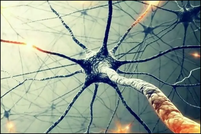 Эксперт: уровень интеллекта у взрослых больше связан с образом жизни, чем с врожденными данными