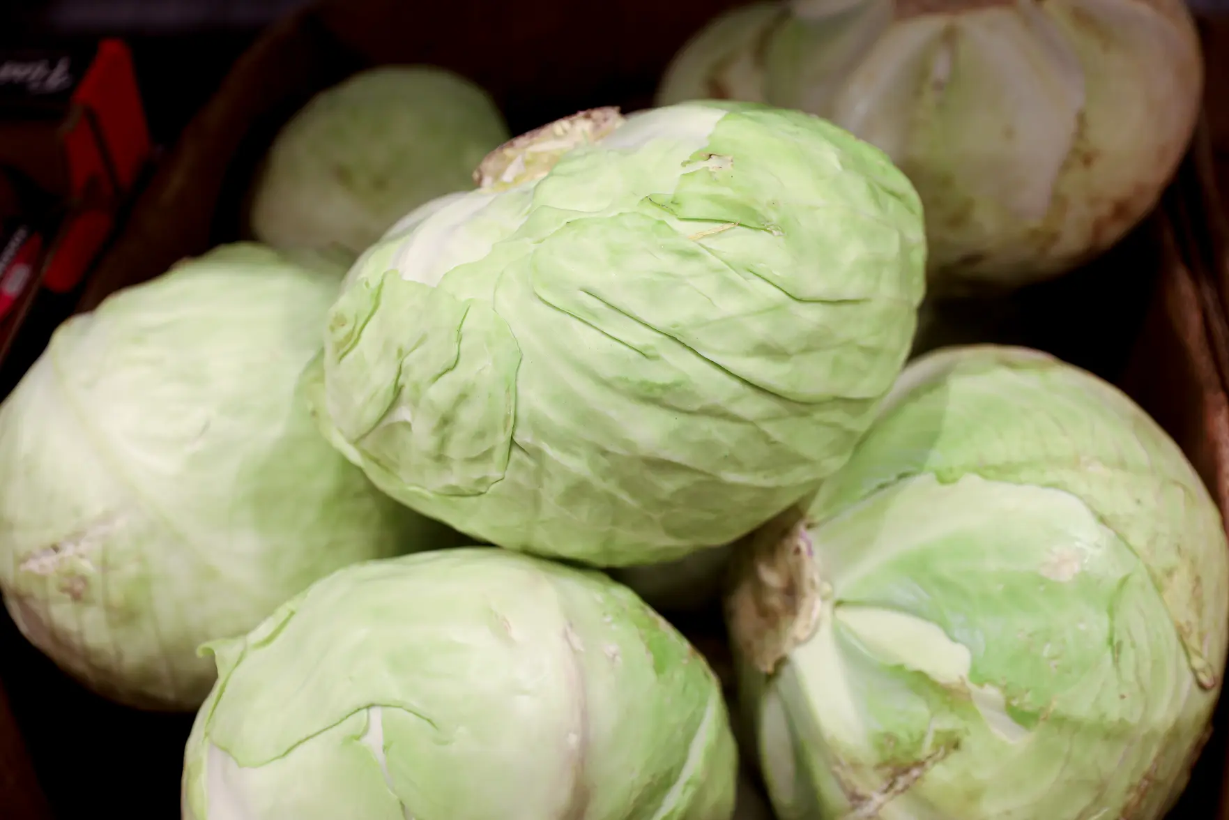 Капуста стала самым подешевевшим продуктом в России в начале 2026 года