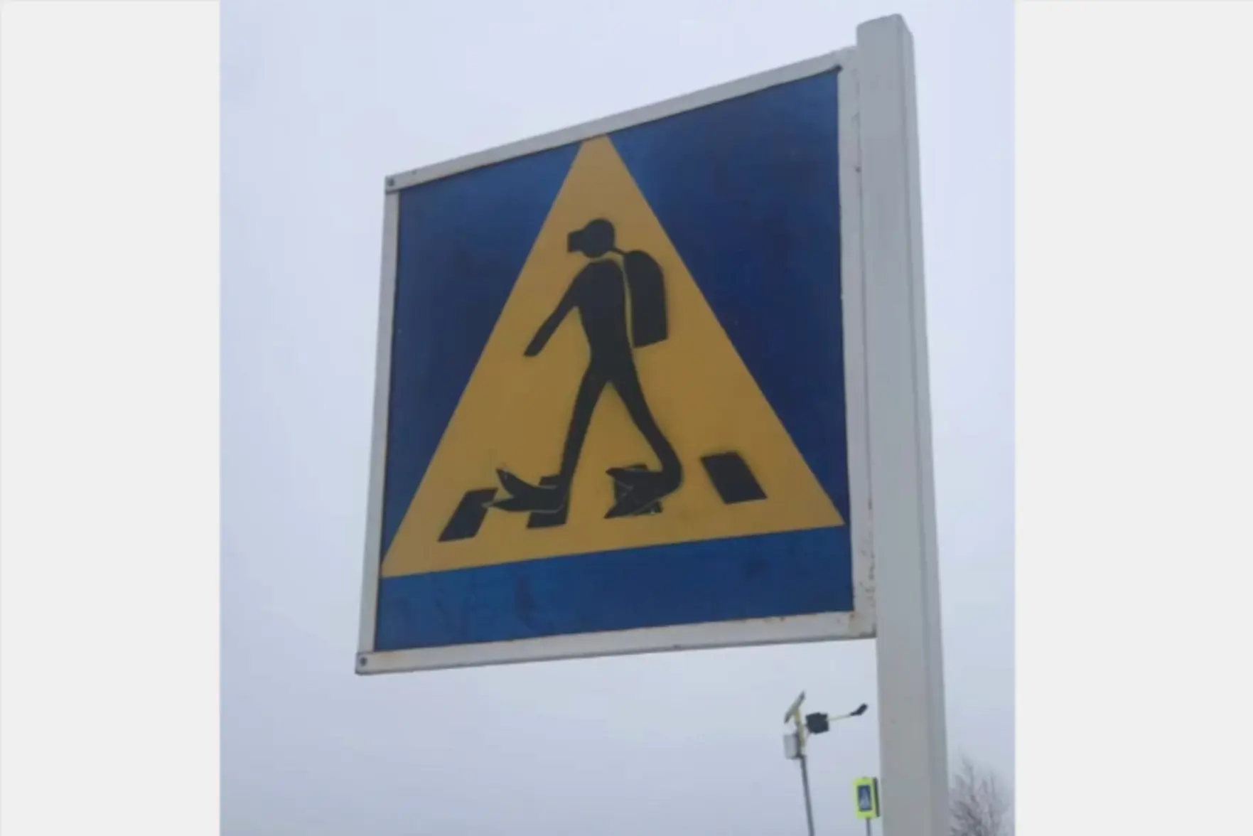 В Листвянке поставили знак о пешеходах-водолазах рядом с дайвинг-центром