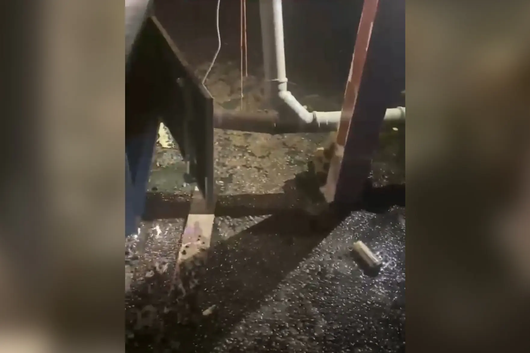 Жители Люберец жалуются на затопление подвала канализацией и запах в подъездах