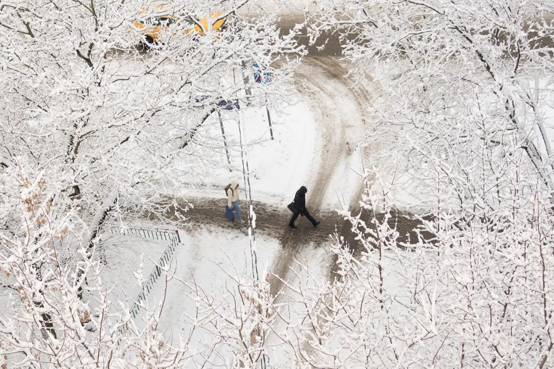 Мощный снегопад накрыл Москву и Московскую область