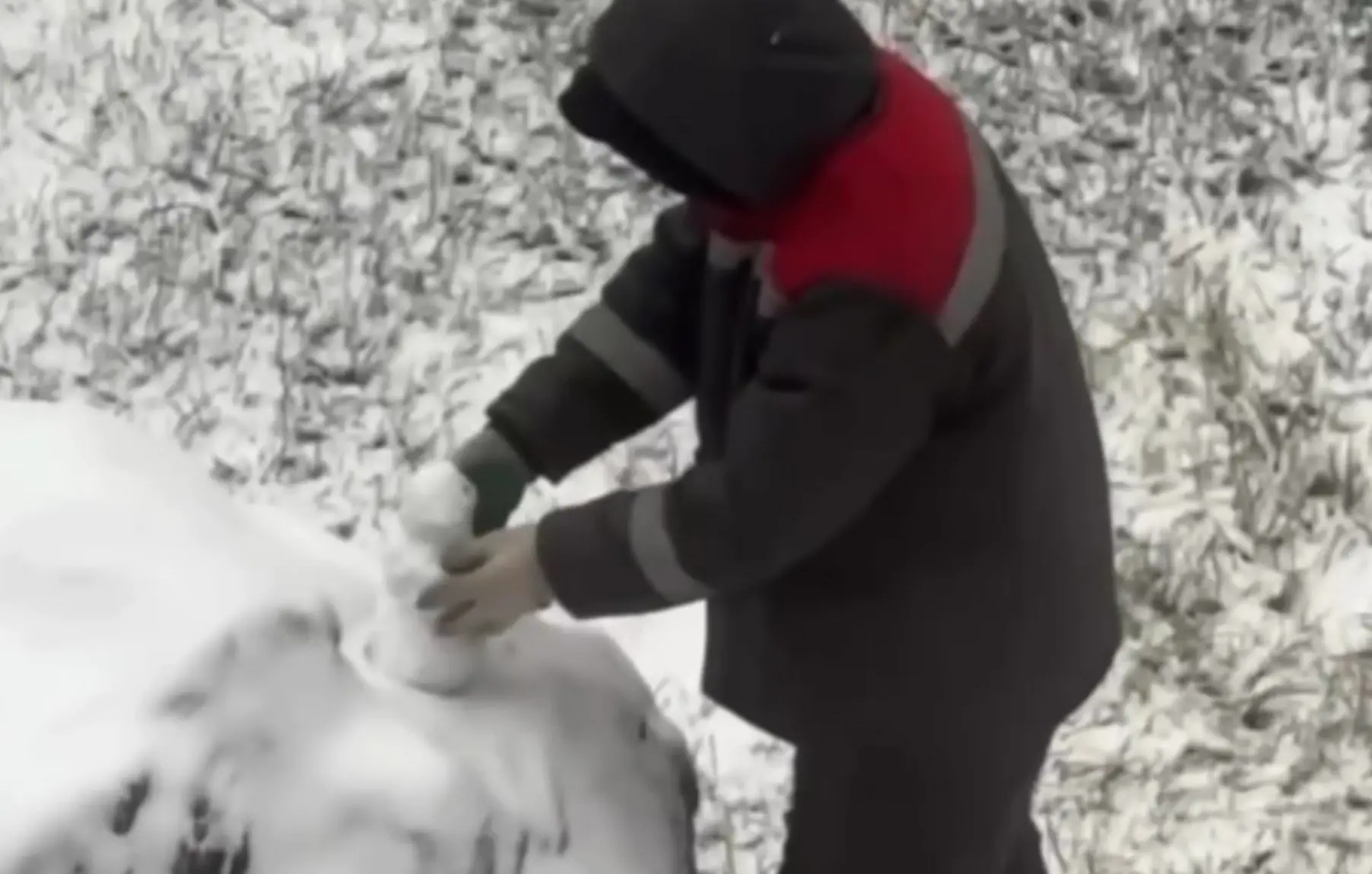 Московский дворник построил мини-снеговика