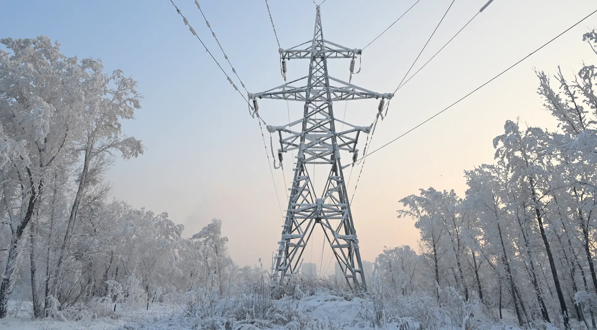 Ночь 31 января стала самой холодной зимой в Москве