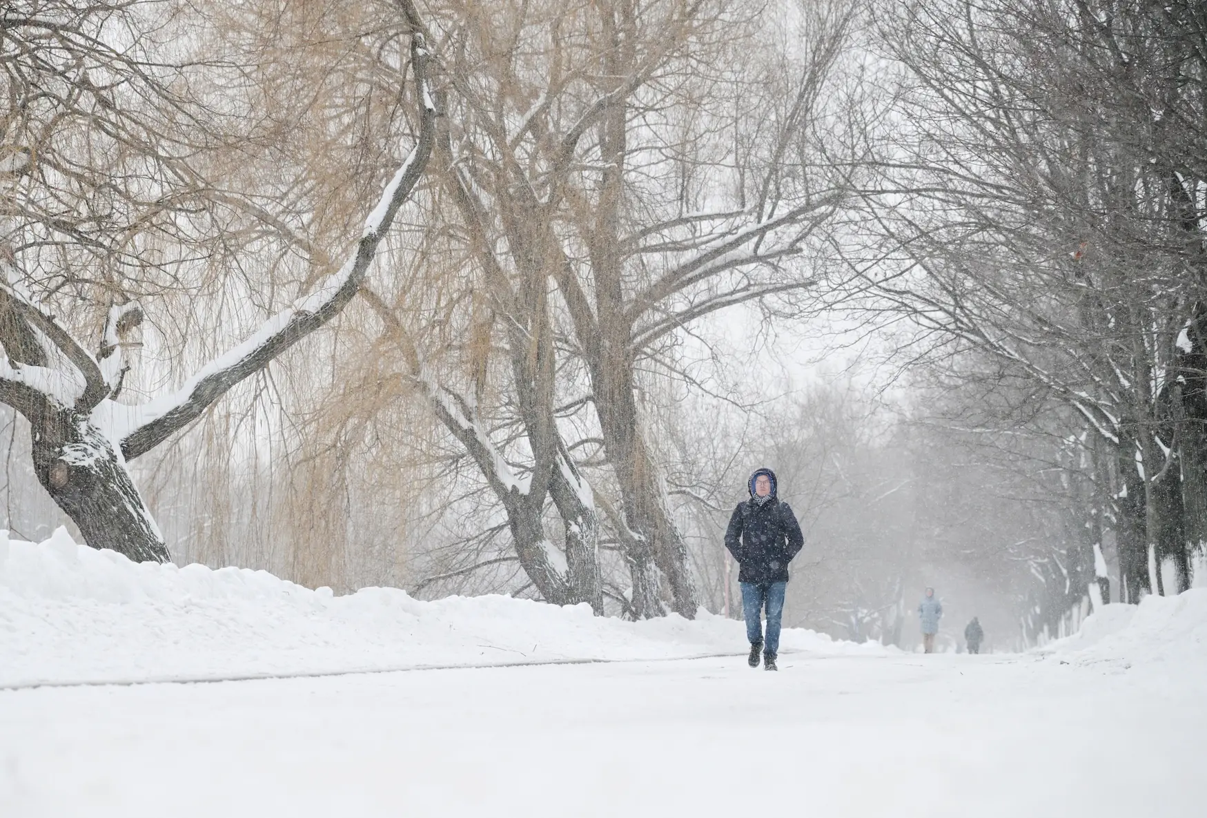 За ночь в Москве выпало 9 мм снега, в Подмосковье местами до 15 мм