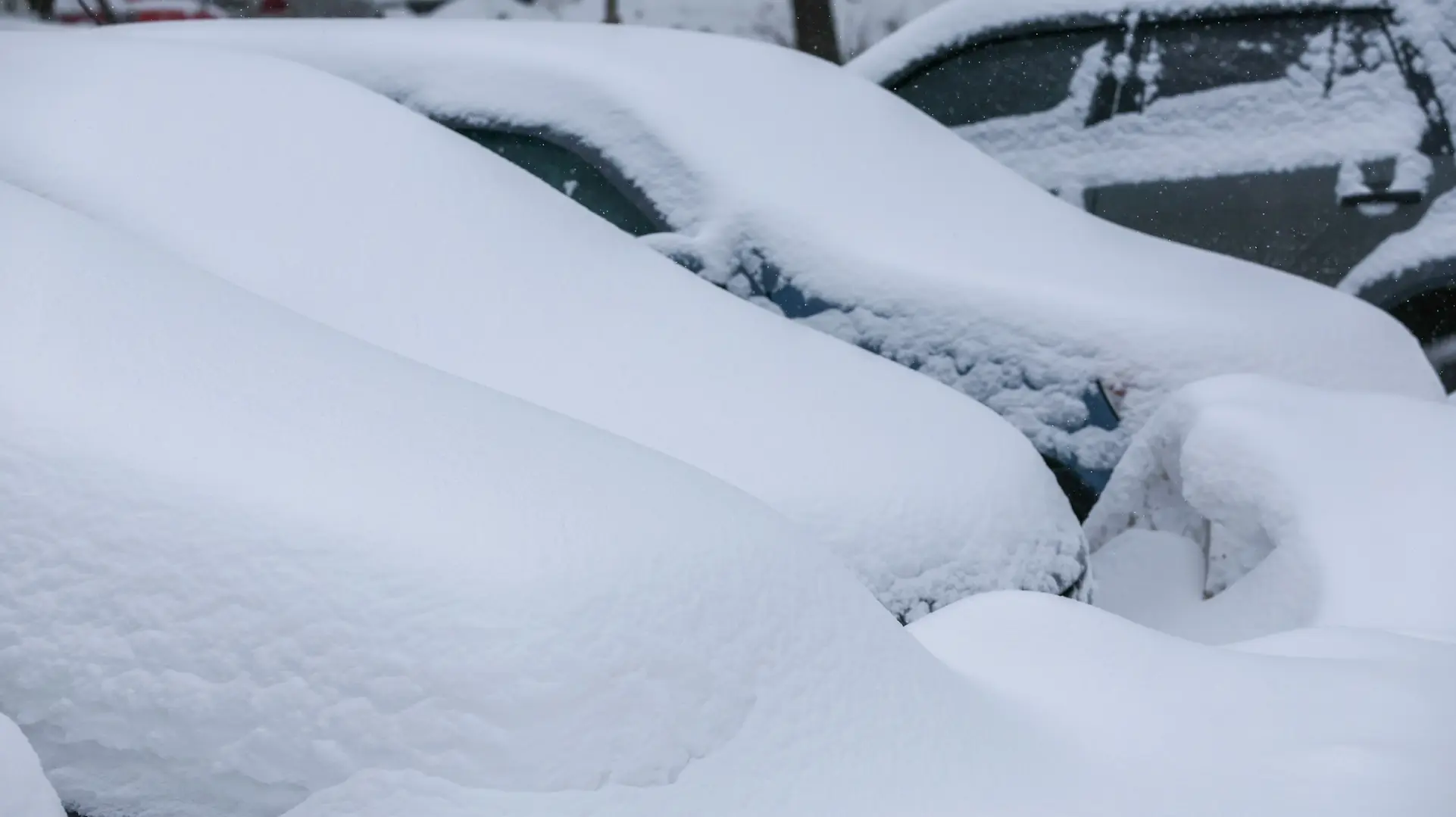 Начало февраля в Москве может стать самым холодным в XXI веке