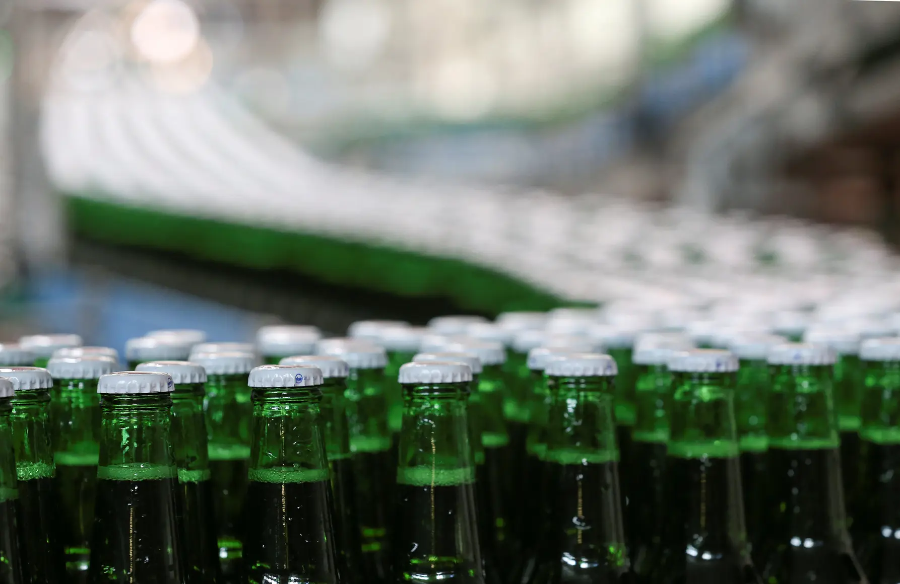 Намибия хочет поставлять пиво и говядину в Россию