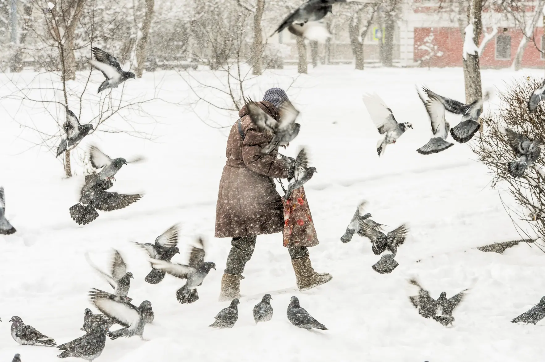 Николаевск-на-Амуре завалило снегом