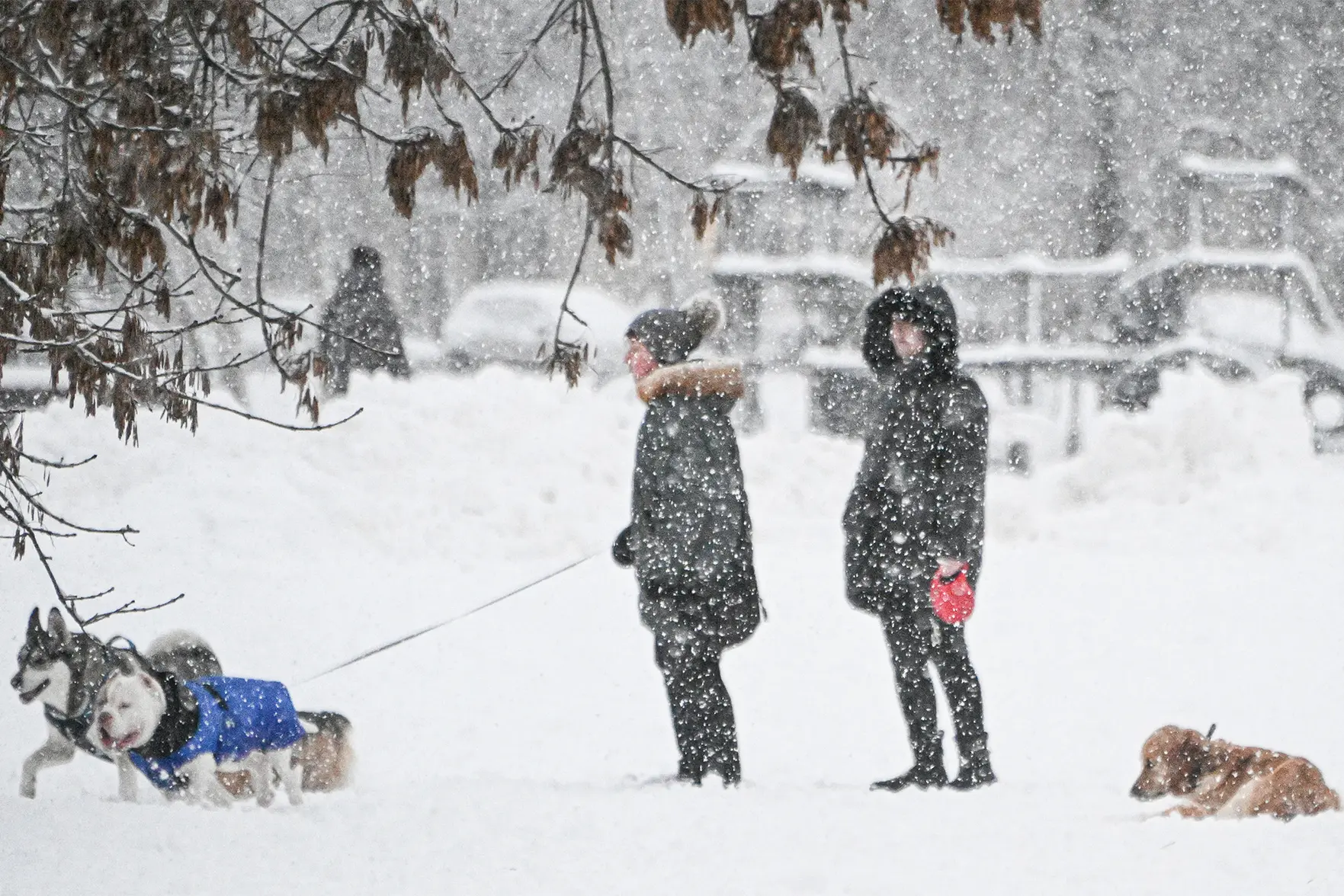Новогодние праздники 2025-2026 годов в Москве