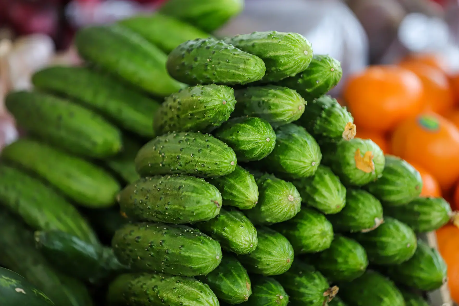 Огурцы в России подорожали до 700 рублей за килограмм перед Новым годом