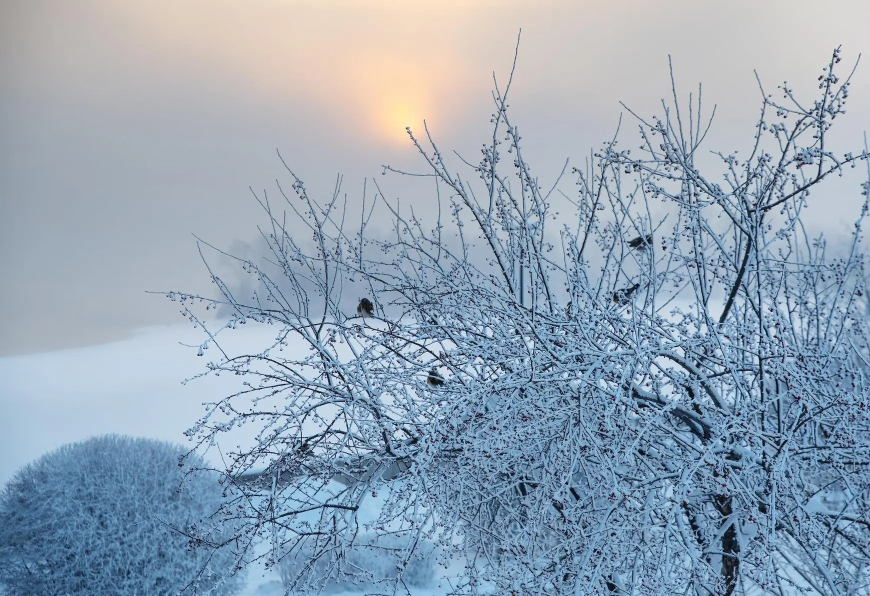 В Подмосковье к вечеру похолодало до минус 25 градусов