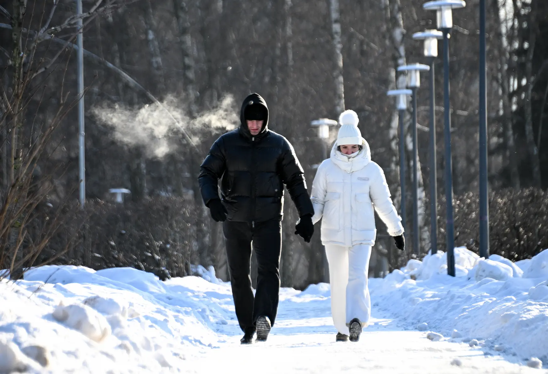 В Подмосковье ночью ударили морозы до минус 26,2