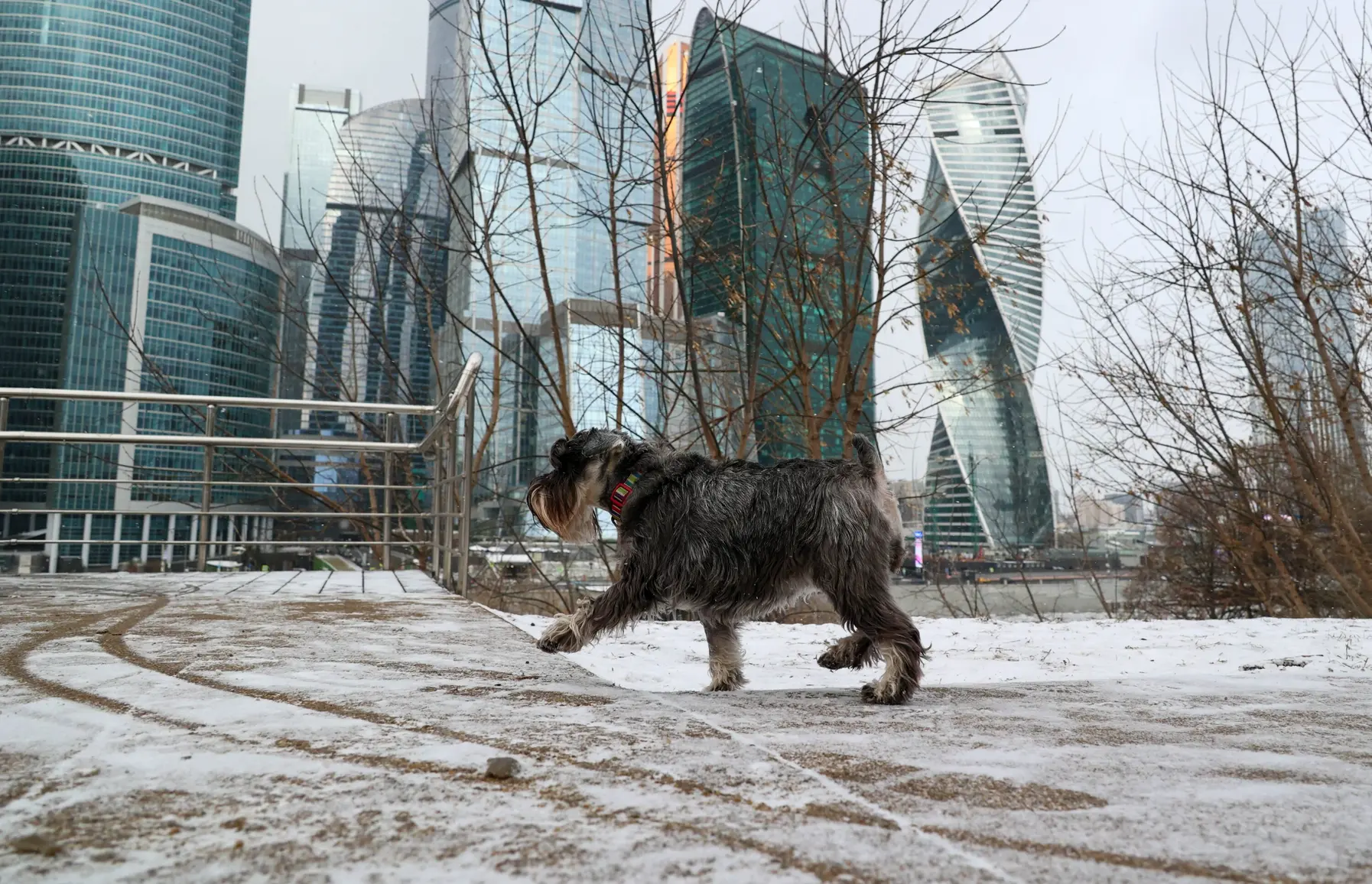 Потепление придет в Москву со вторника