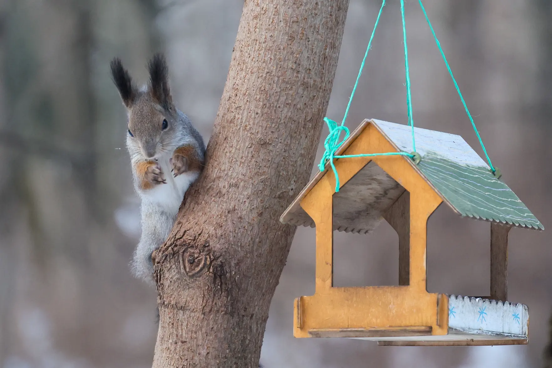 Рекомендации по использованию общественного транспорта в Москве