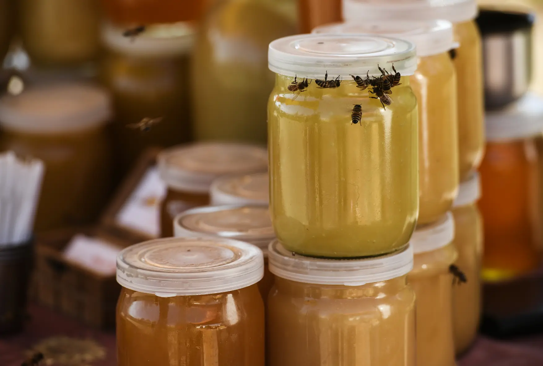 В России говорят о риске дефицита меда из-за погоды и роста закупочных цен