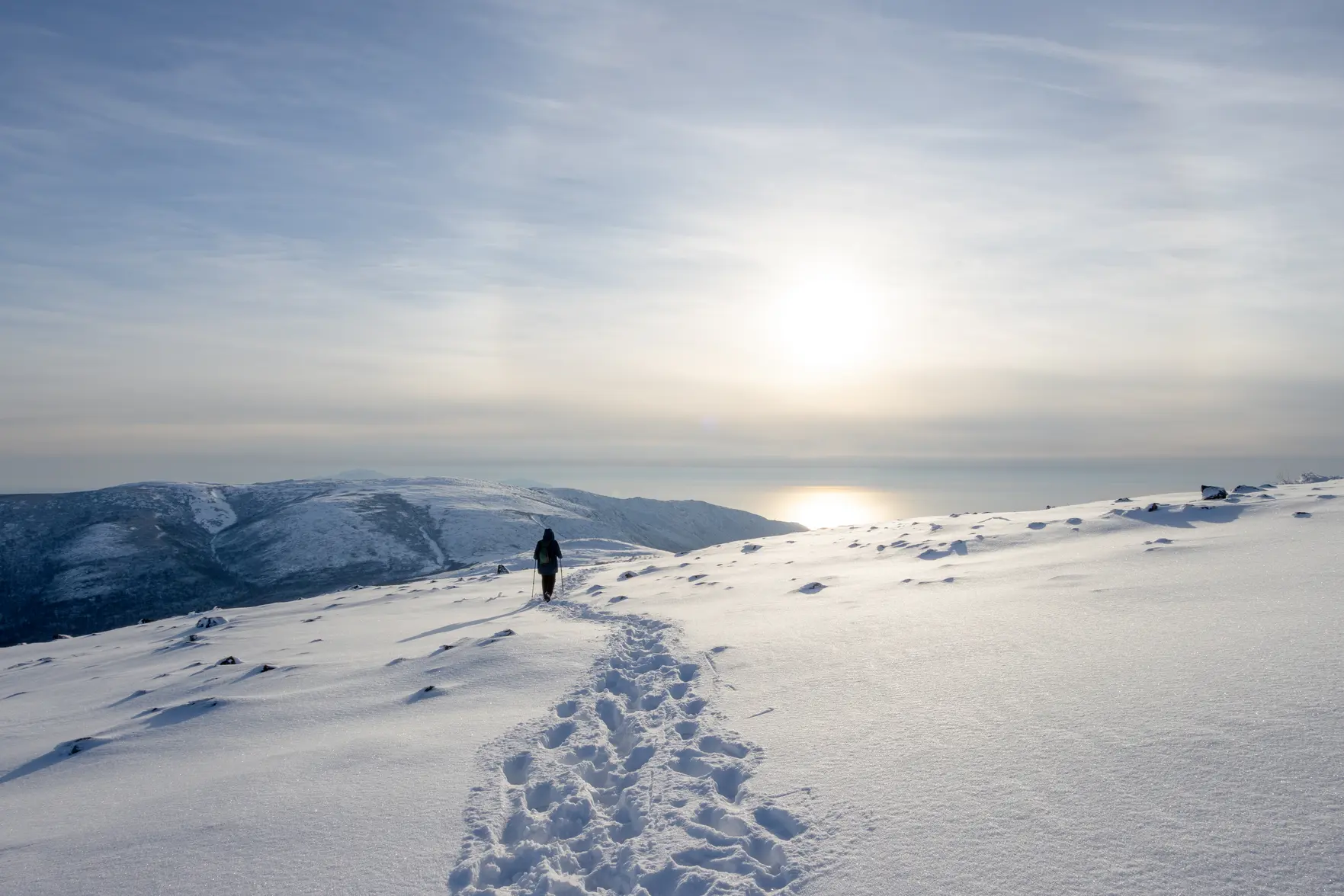 Климатолог: средняя температура в России за 50 лет выросла сильнее, чем в среднем по миру