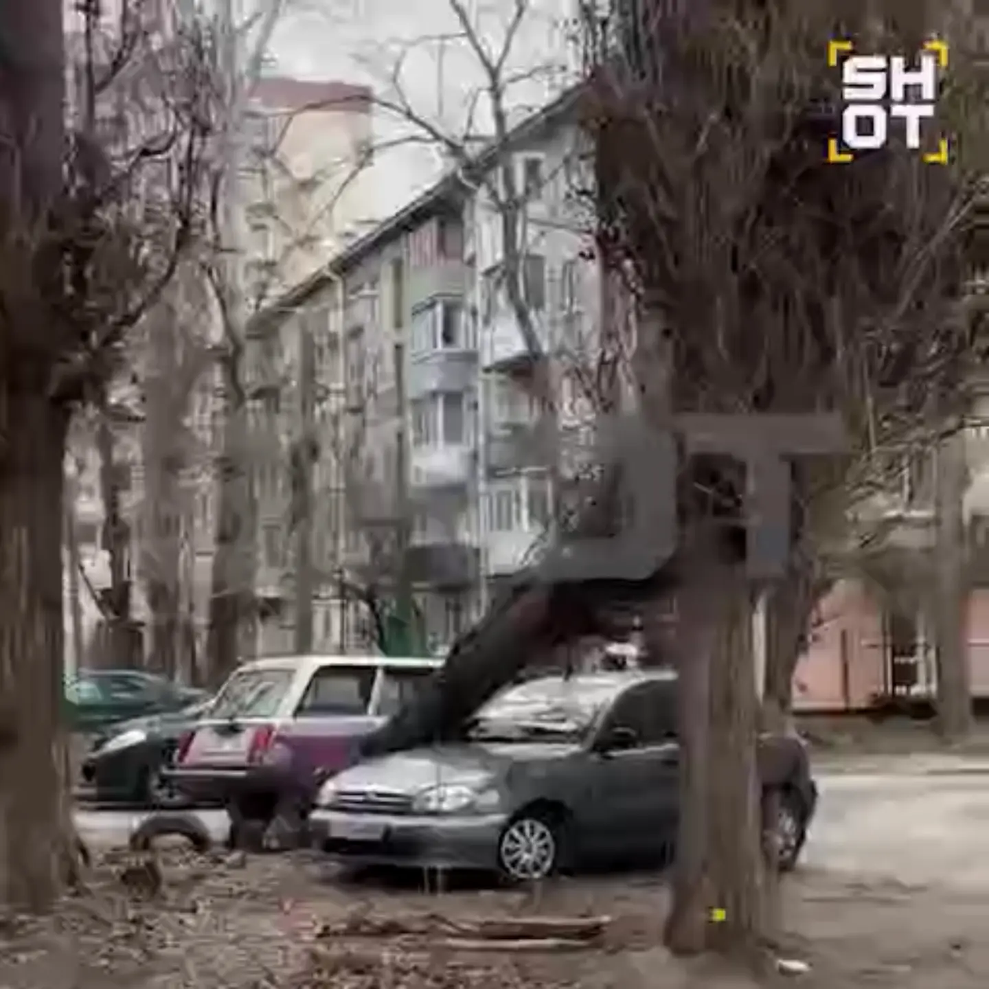 Шторм в центральной и южной России