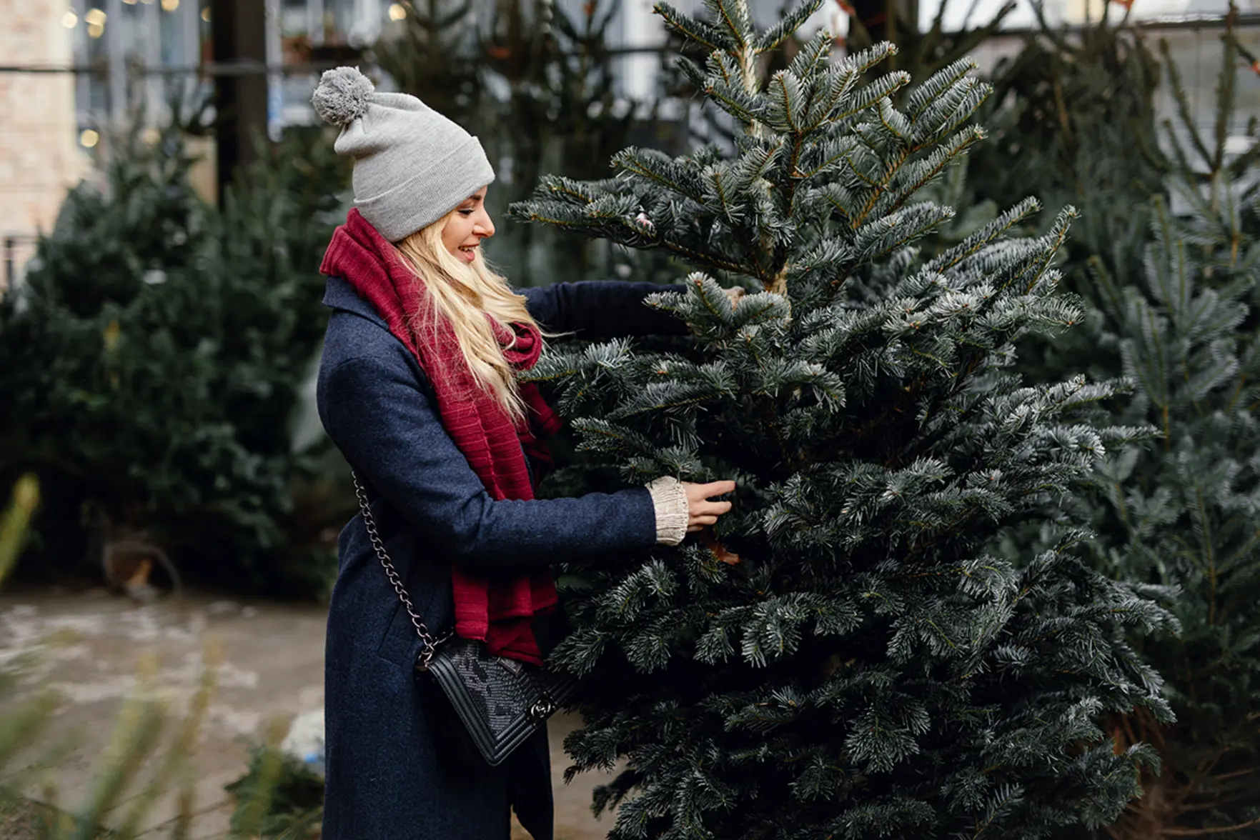 Совет по сохранению новогодней елки