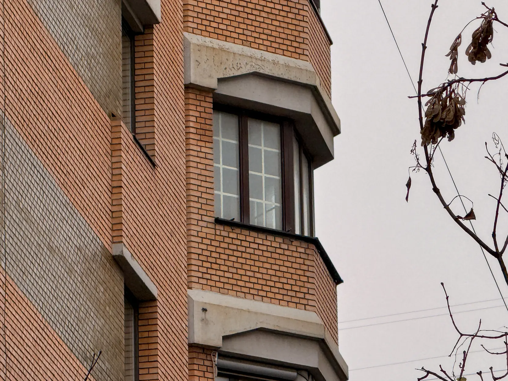 Спорная квартира Ларисы Долиной