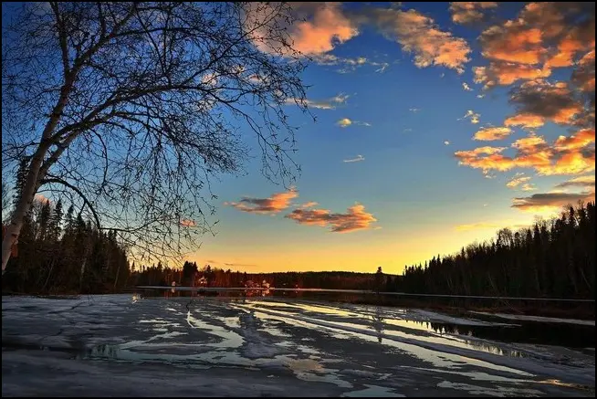 Весенняя усталость и апатия: как справиться с сезонными изменениями