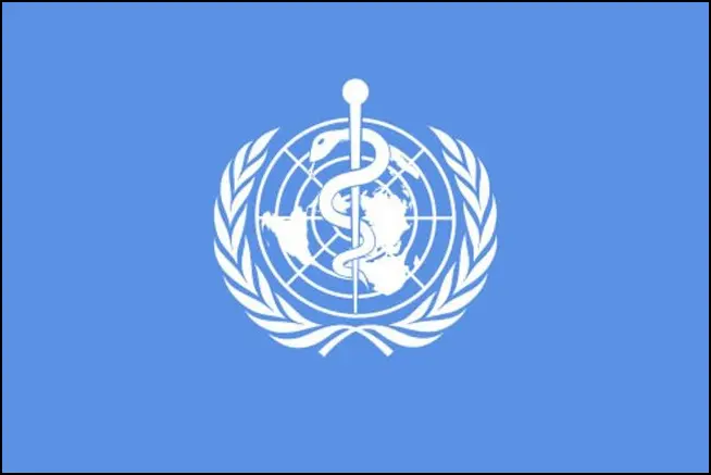ВОЗ предупредила о рисках для здоровья от мигрантов
