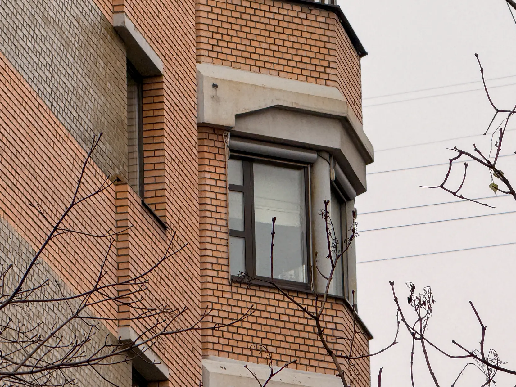 Выселение Ларисы Долиной из квартиры в Хамовниках