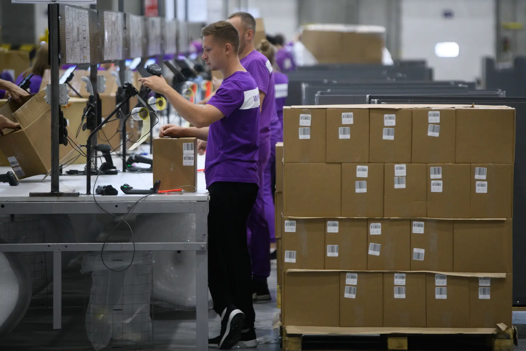 Wildberries не получила претензию от Aurus Cashmere