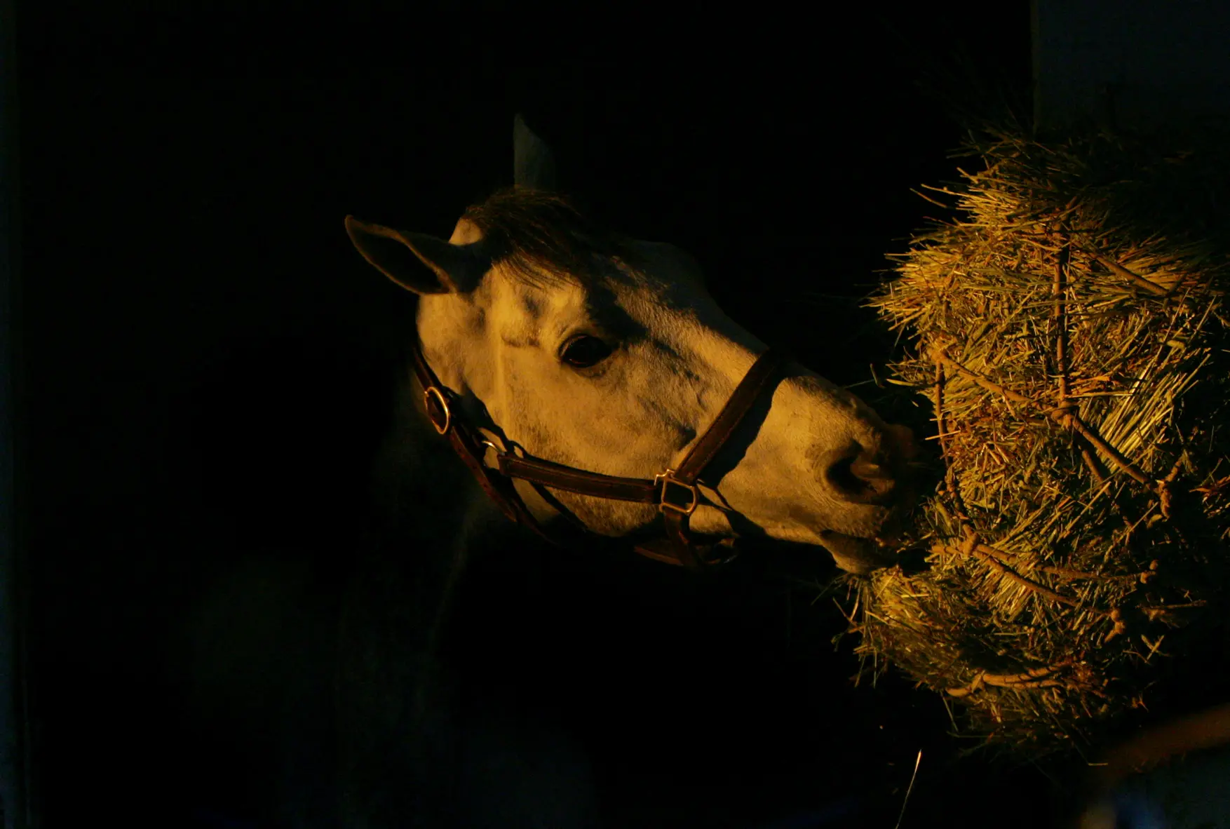 В якутском селе Уолба слепили огромную лошадь из коровьего навоза, это символ 2026 года