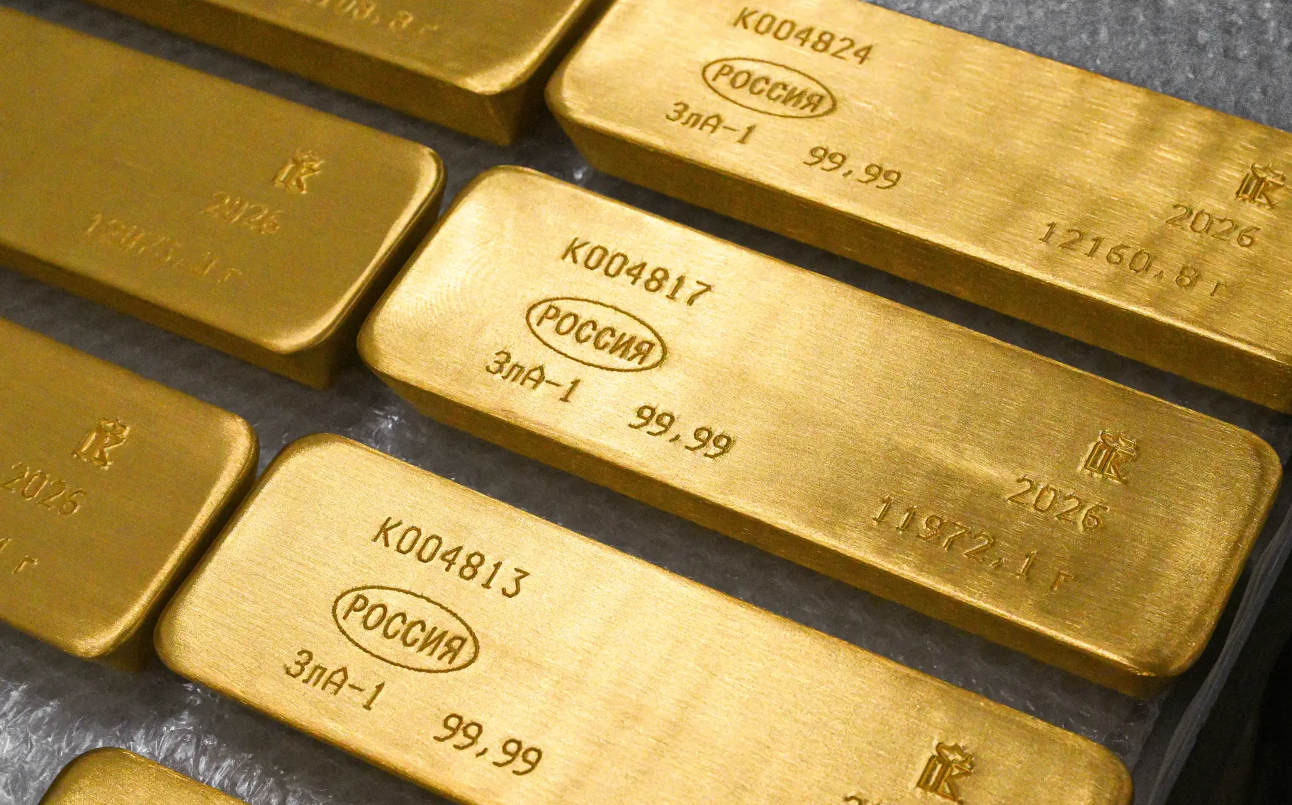 Запасы драгоценных металлов в российских банках оценили в 664 млрд рублей