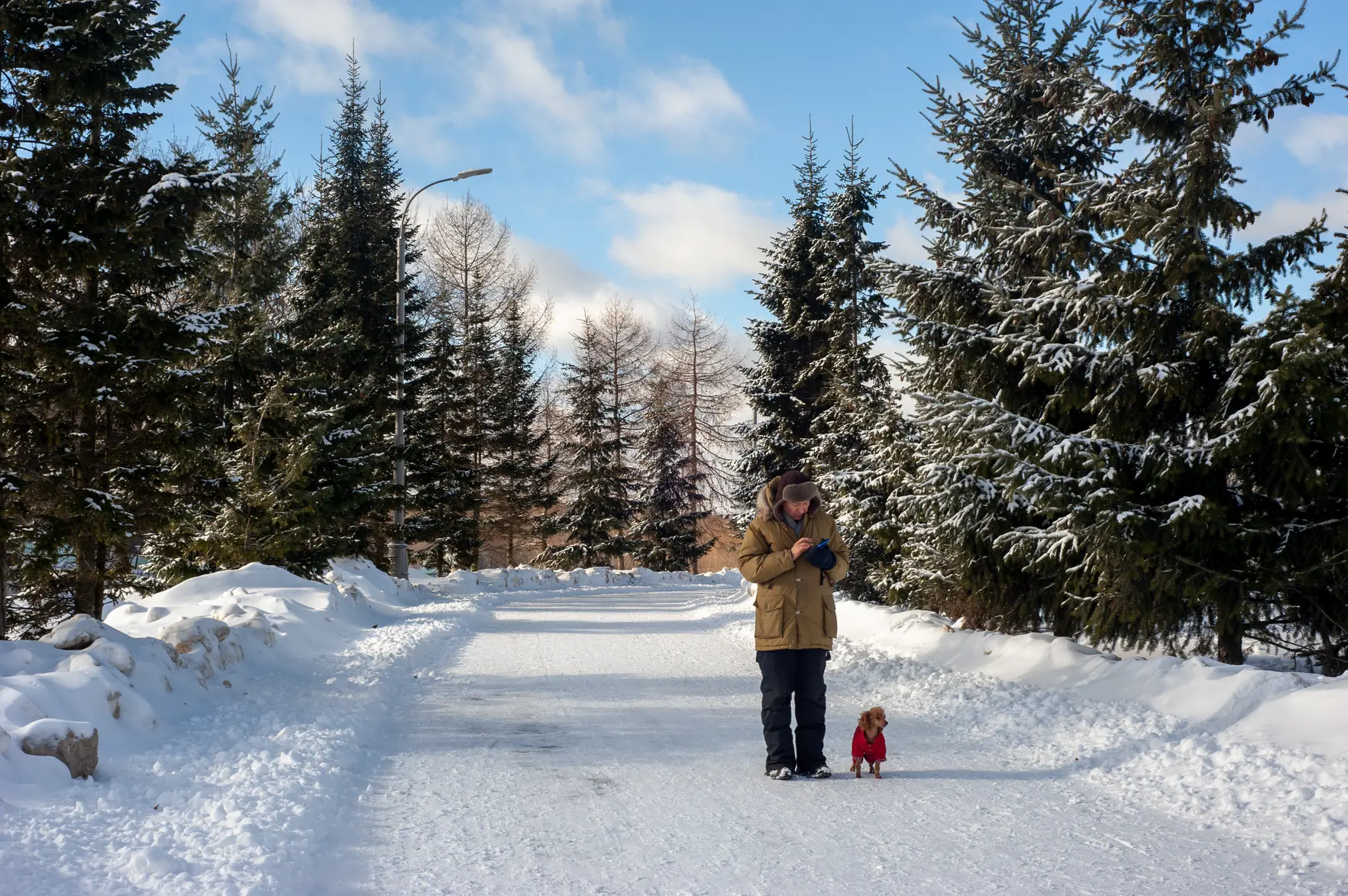 Защита лап животных от дорожных реагентов