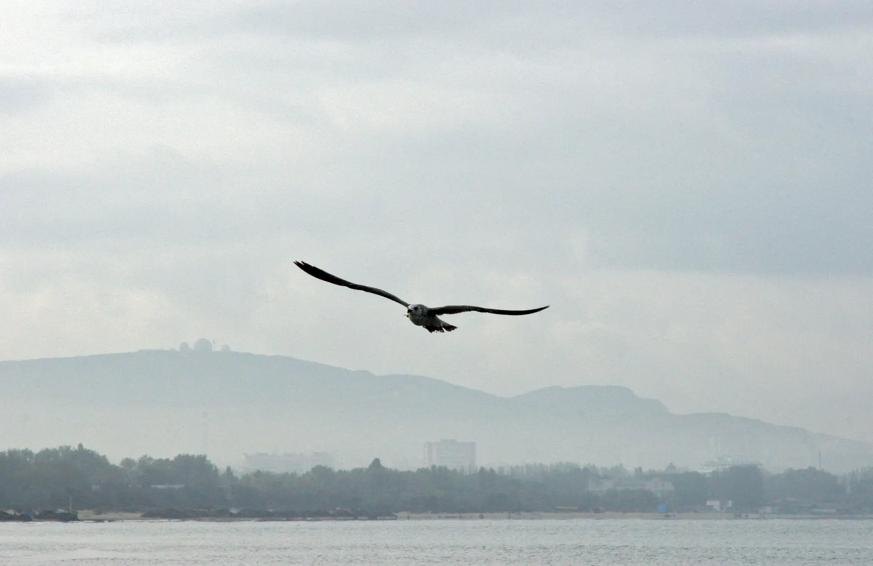 Землетрясение магнитудой 4,7 ночью почувствовали в районе Анапы и Новороссийска