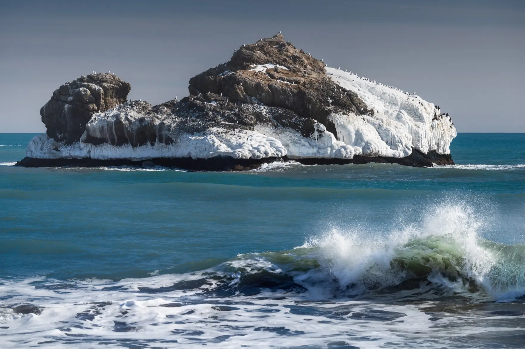 Землетрясения у берегов Камчатки и в Сочи