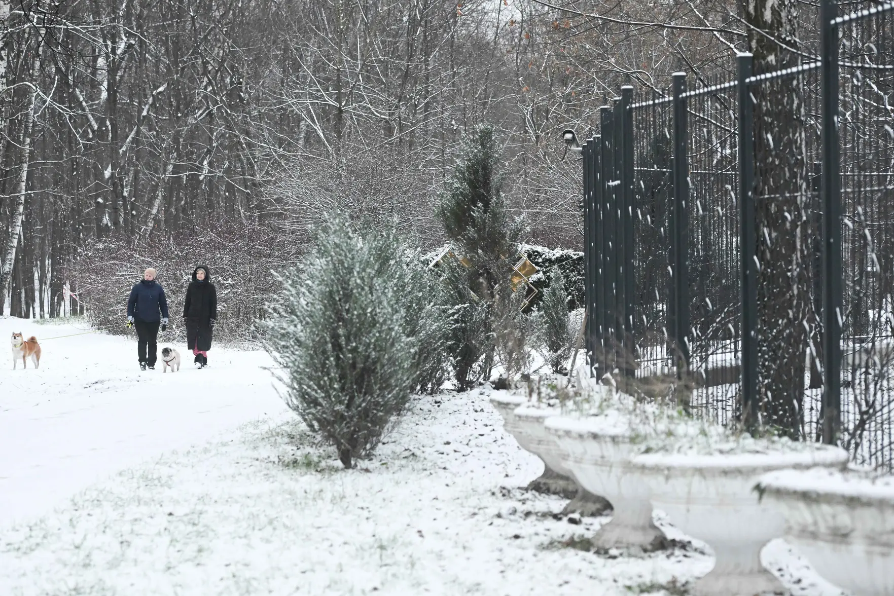 Зима обрушится на Москву: прогноз погоды