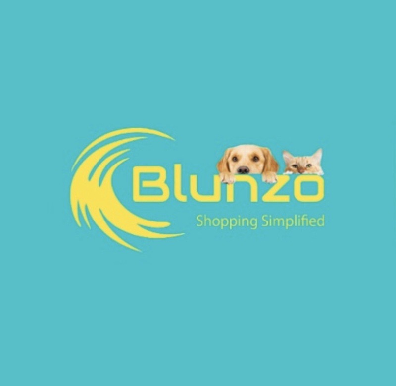Blunzo International Llc logo