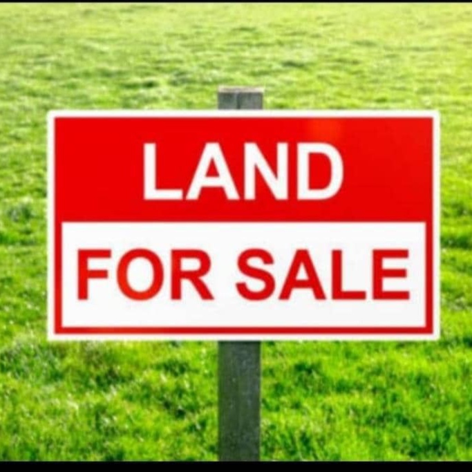 Deluxe Home and properties 