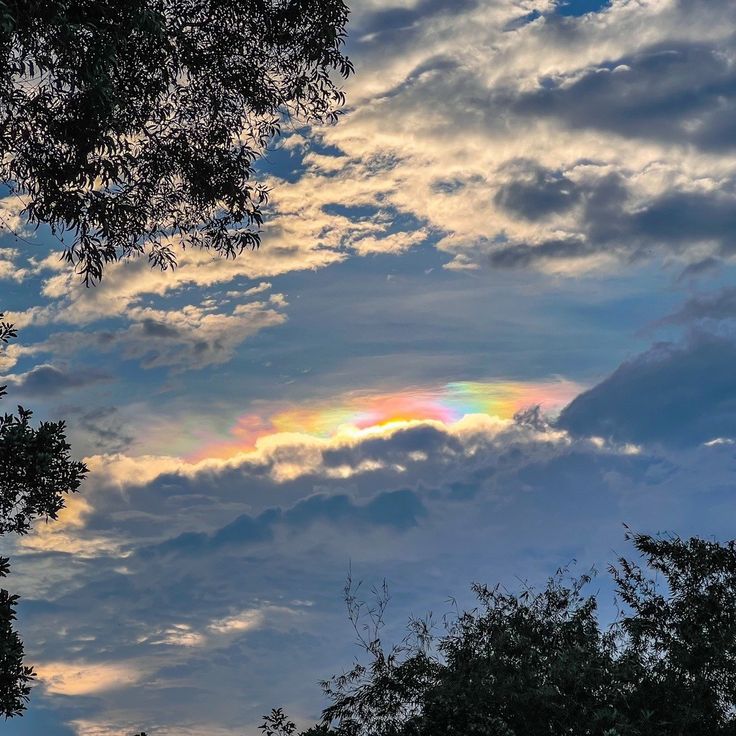 WhatsApp Image 2026-03-09 at 21.26.32.jpeg