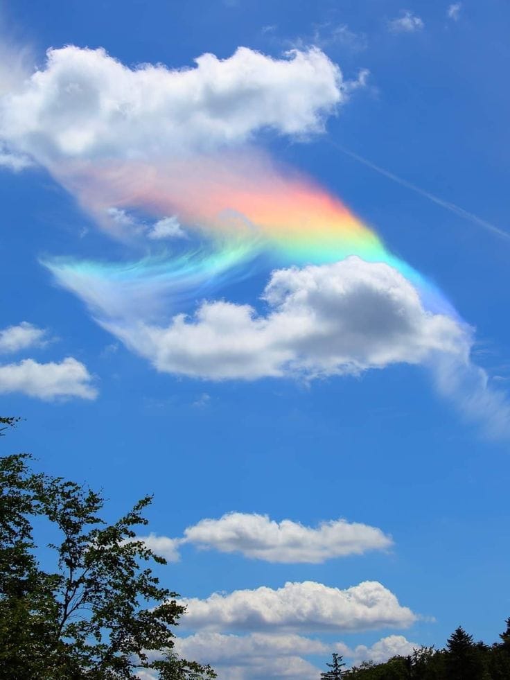 WhatsApp Image 2026-03-09 at 21.26.31 (1).jpeg