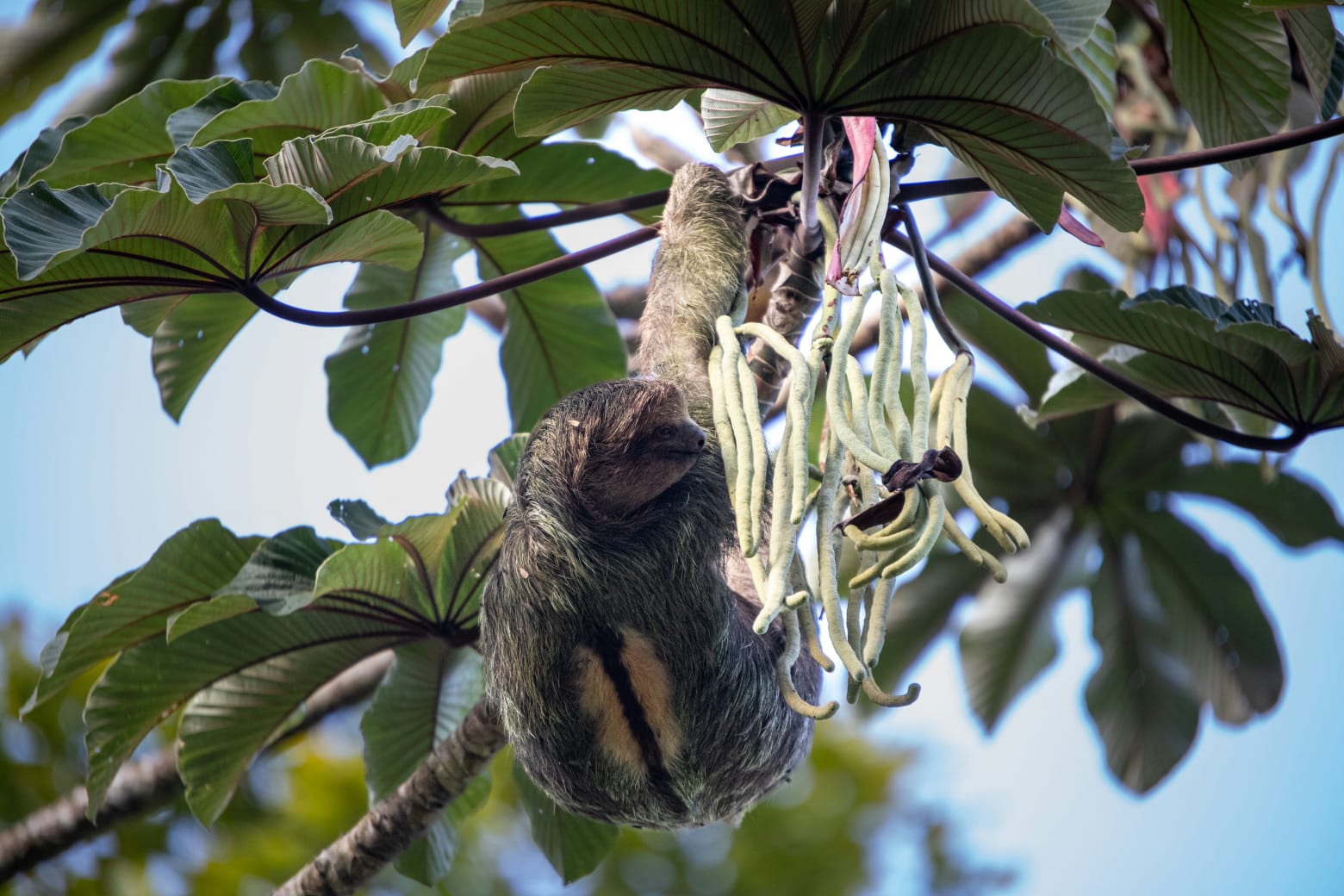 WhatsApp Image 2026-04-05 at 15.18.26.jpeg