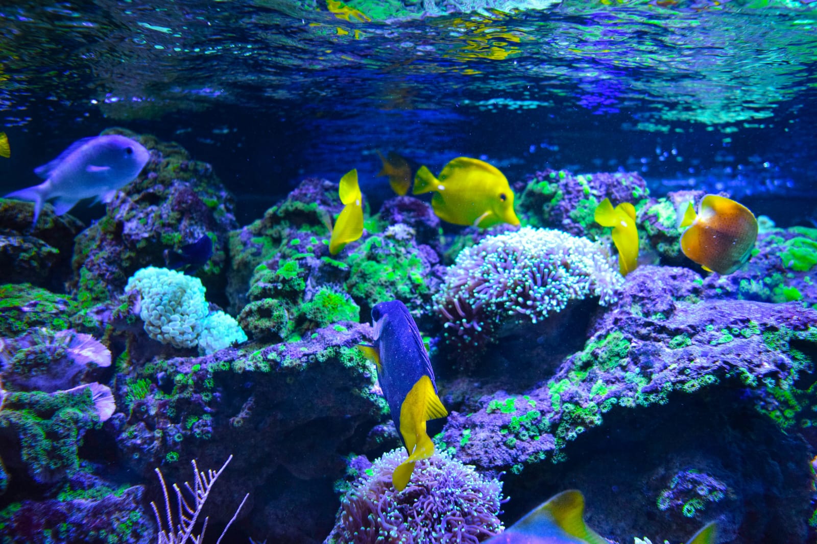 WhatsApp Image 2026-04-06 at 18.36.25.jpeg