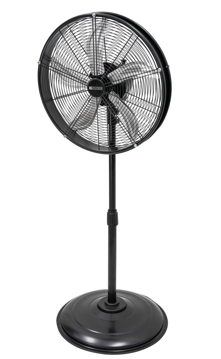 Fan