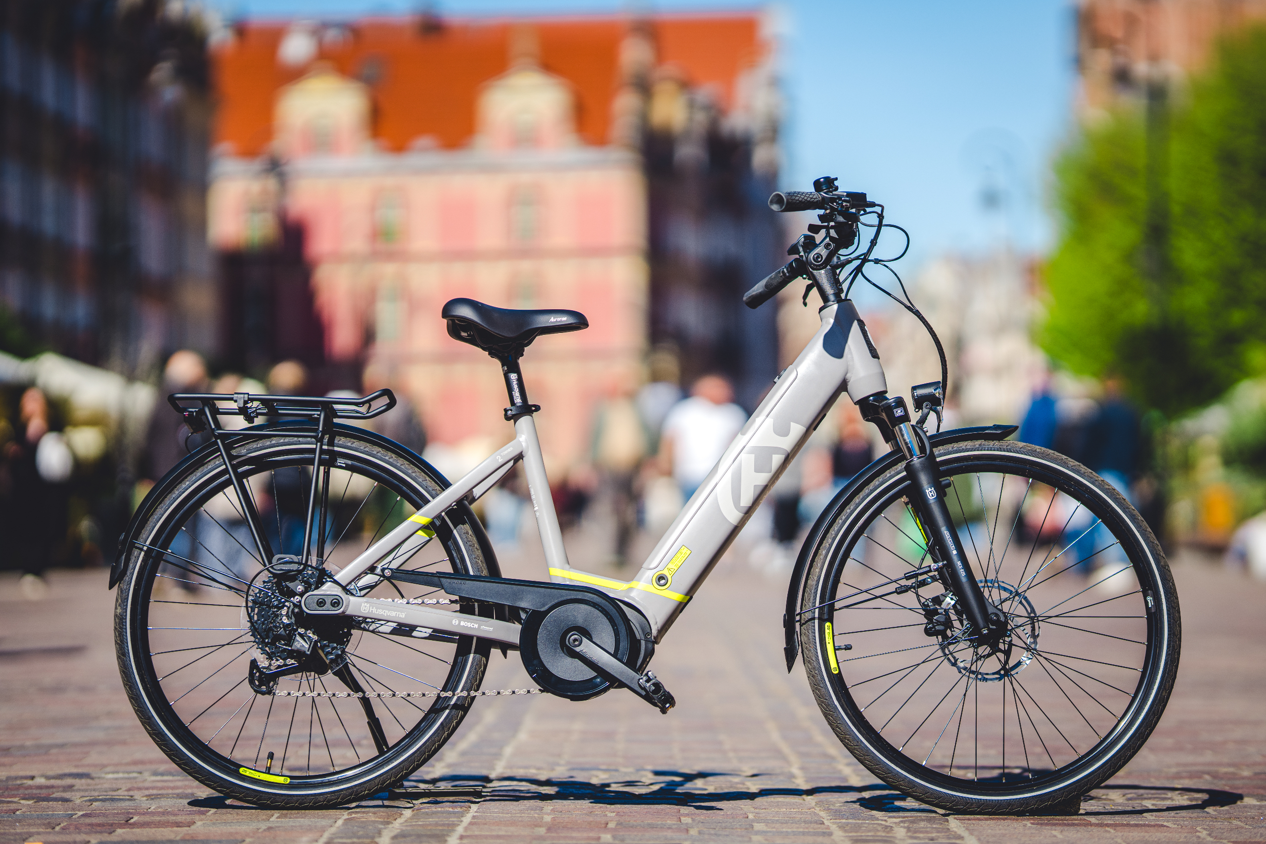 Photo: Electric Bike Standard 