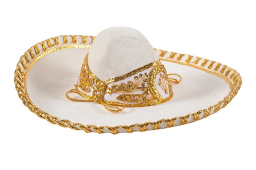 CHARRO TERCIOPELO - 3