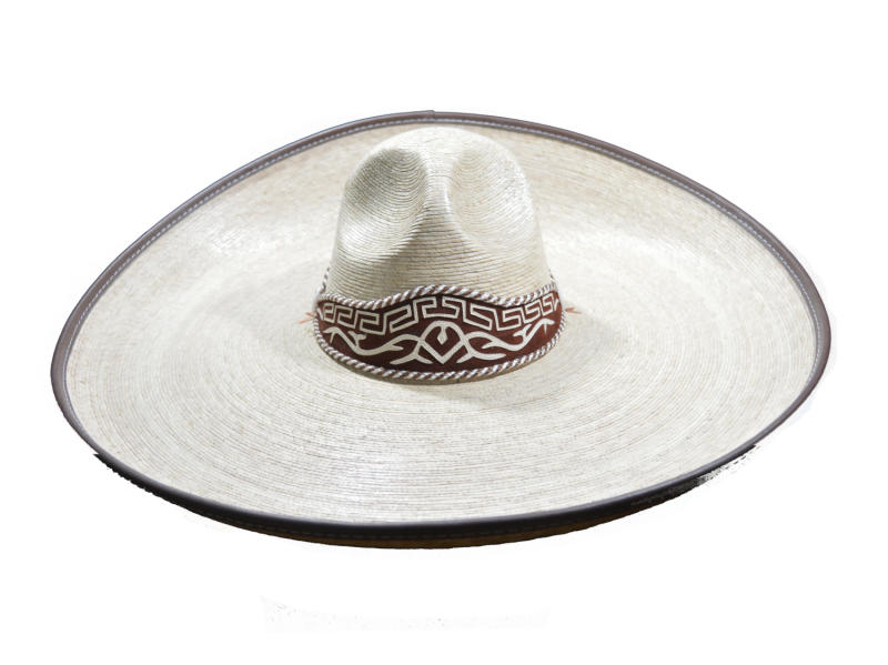 CHARRO PALMA VERDE - 2