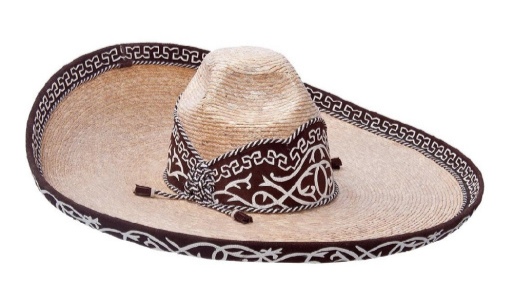 CHARRO PALMA DE TRIGO - 2