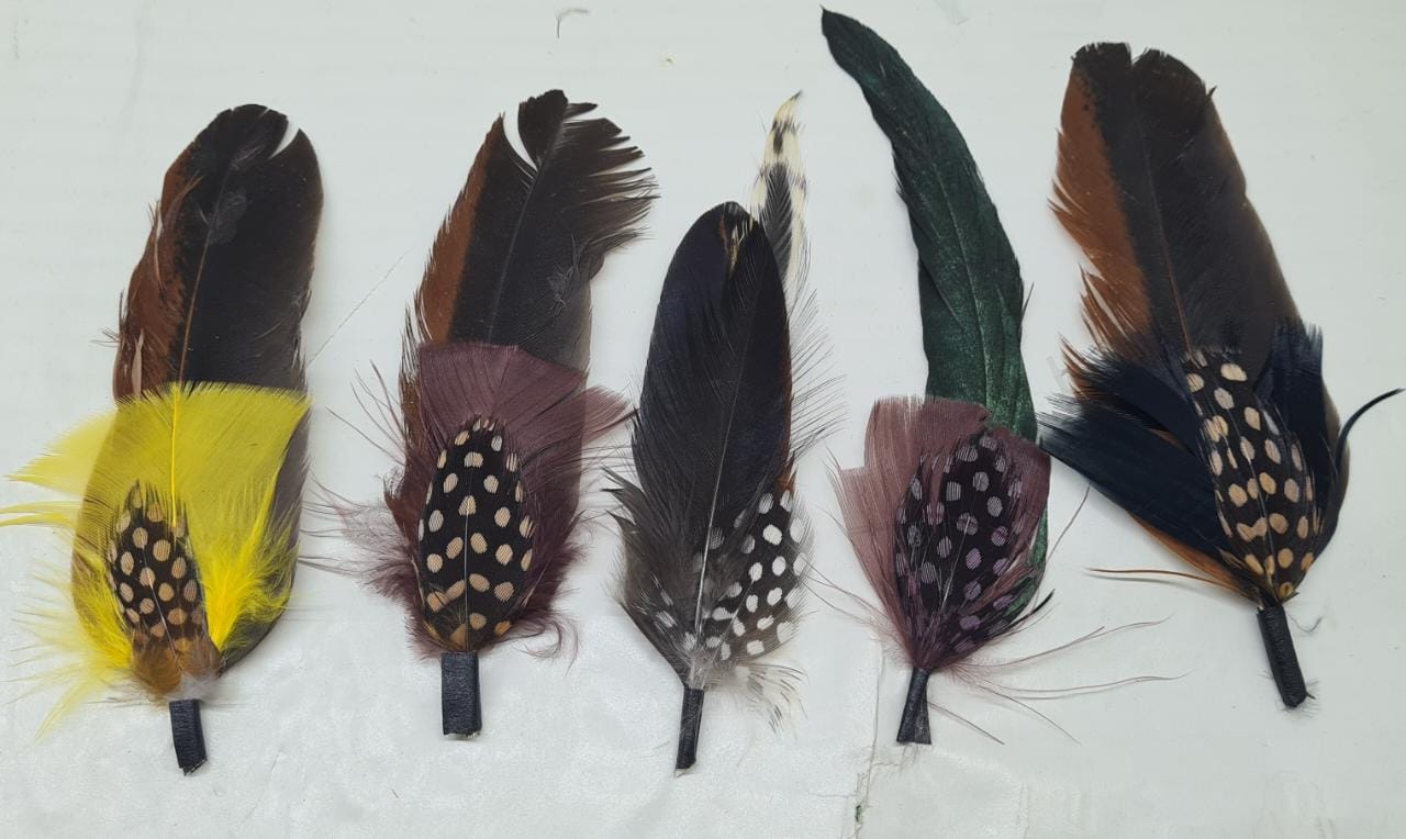 PLUMAS LARGAS - 2