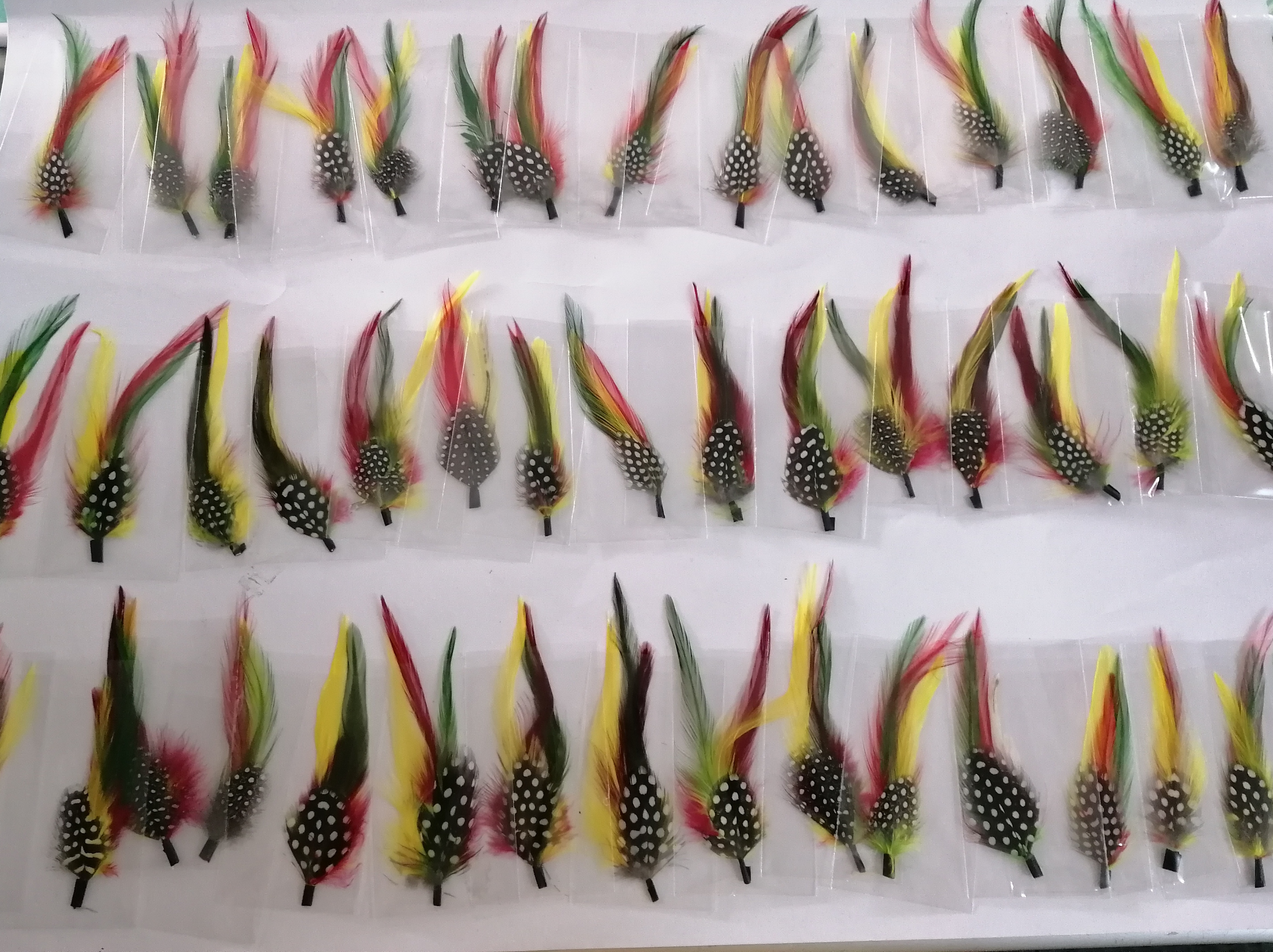 PLUMAS NORMAL - 2