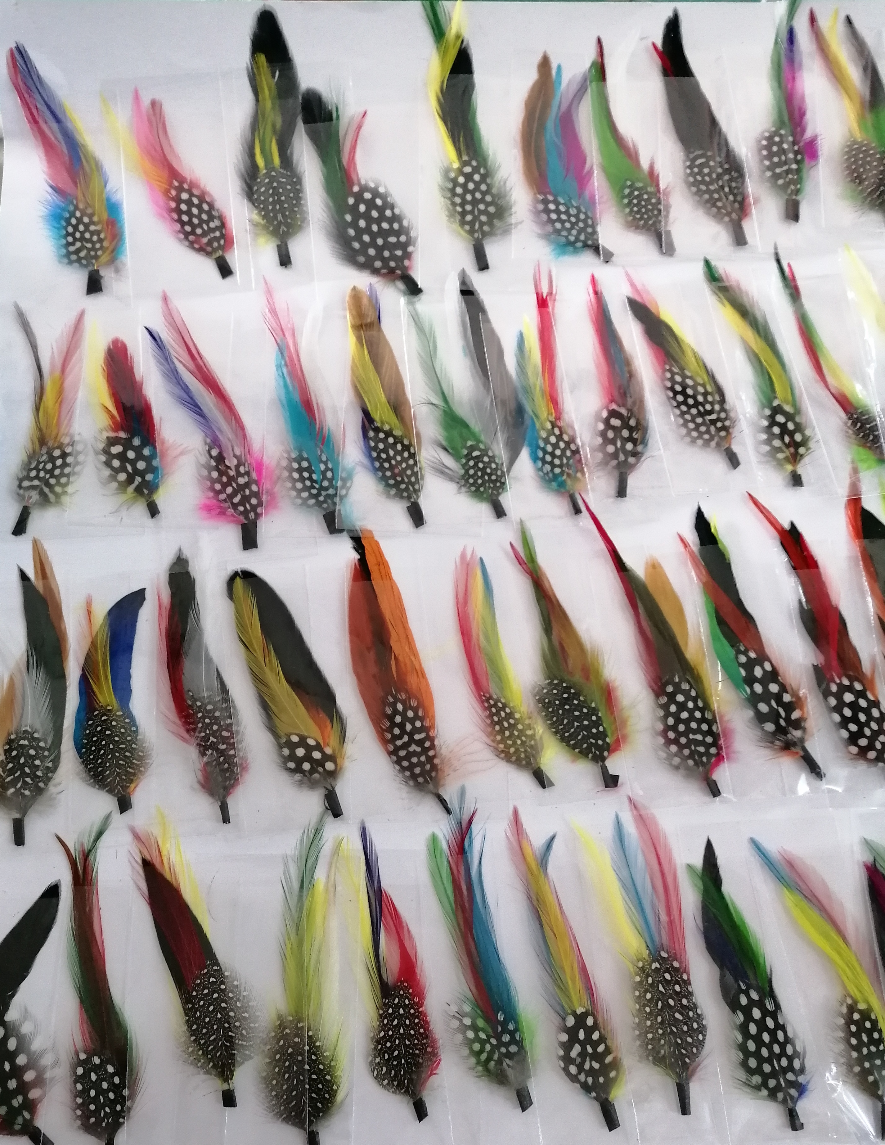 PLUMAS NORMAL - 3