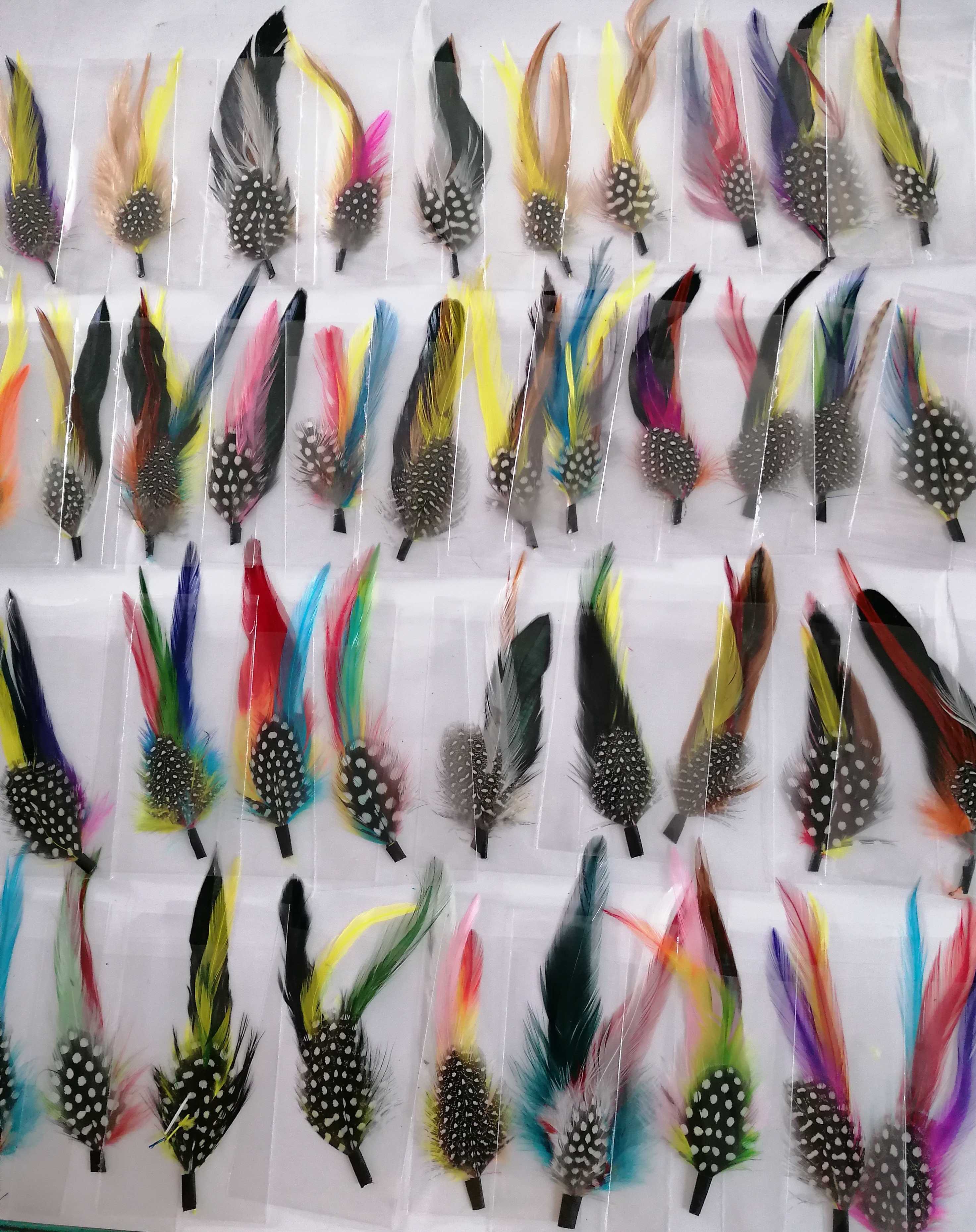 PLUMAS NORMAL - 4