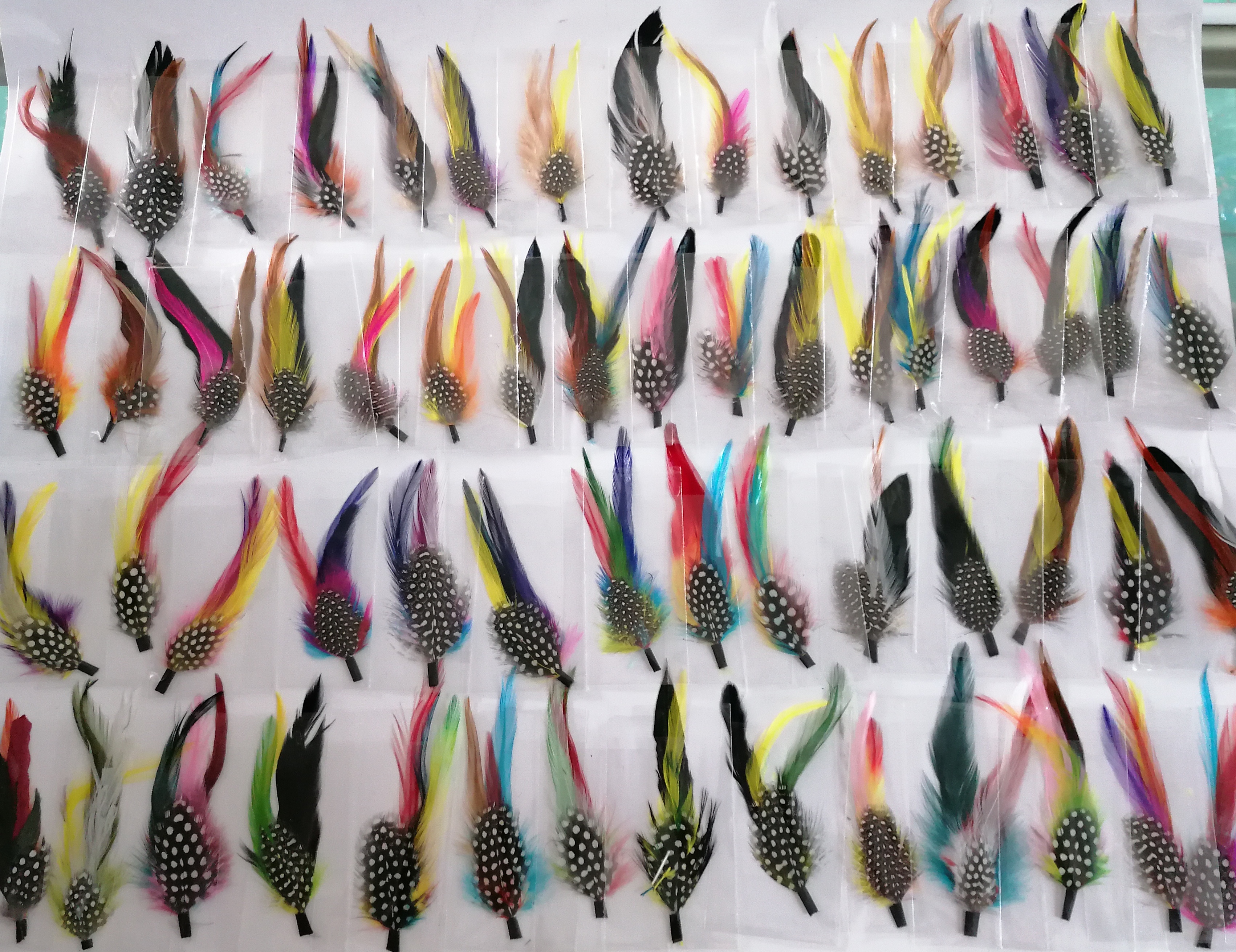 PLUMAS NORMAL - 5