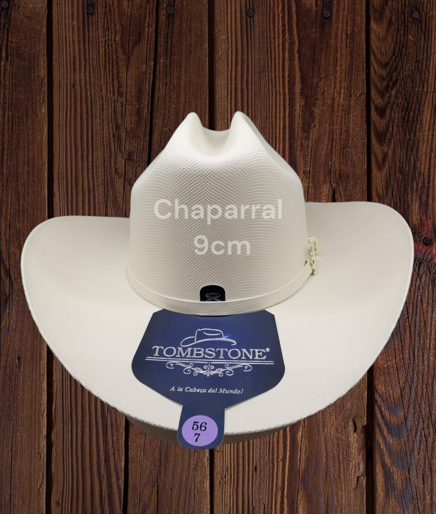 TOMBSTONE CHAPARRAL/SINALOA - 2