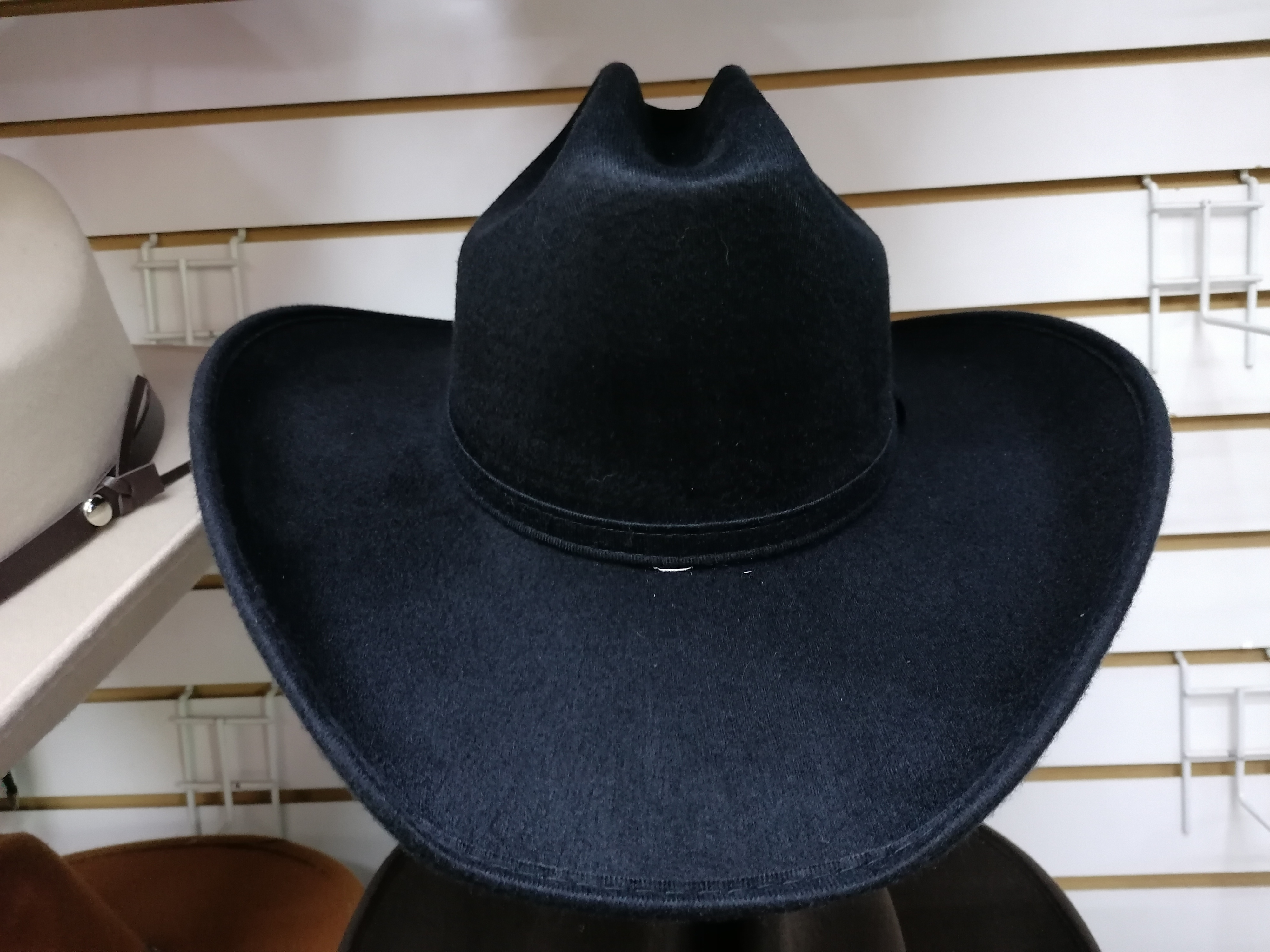 TEXANA DUVETINA AMERICANA/COUNTRY ADULTO - 2